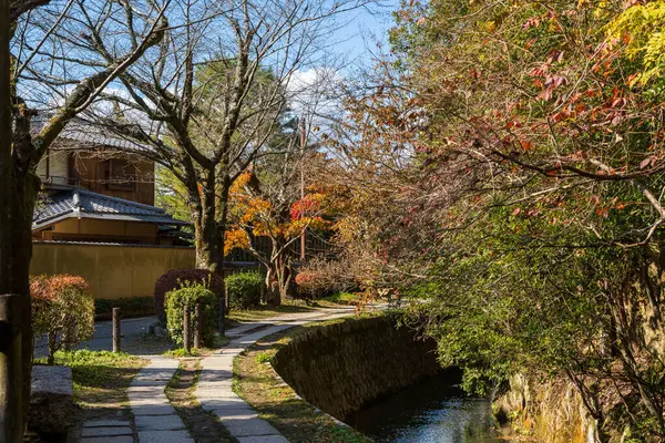 Kyoto 'daki sakin Filozof Yolu (Tetsugaku no michi), sonbahar yapraklarıyla kaplı bir kanalda taş bir yürüyüş yoludur. Sakyo-ku, Kyoto, Japonya.