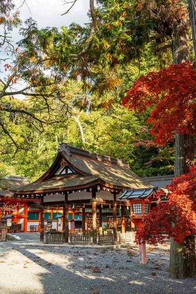 Yoshida Tapınağı 'nın geleneksel sazdan çatı salonu, canlı kırmızı ve sarı sonbahar yapraklarıyla çevrili. Sakyo-ku, Kyoto, Japonya.