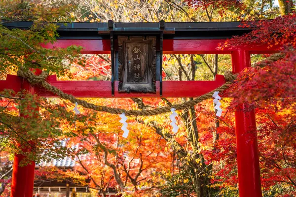 Kuwayama Tapınağı 'ndaki geleneksel bir kırmızı sonbahar akçaağaç yaprağı kapısı. Kameoka, Kyoto, Japonya. Japonca çeviri: Kuwayama Tapınağı, Dük Tokugawa Iesato.