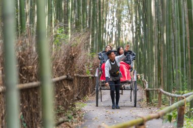 Kyoto, Japonya - 29 Kasım 2024: Geleneksel bir triportör turu, bereketli Arashiyama Bambu Korusu 'nun ikonik yolunda ilerliyor..