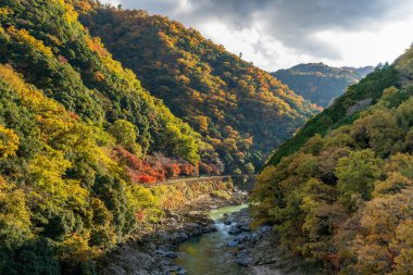 Japonya 'nın Kyoto kentindeki Hozugawa Nehri kıyısında, altın akçaağaç yapraklarından oluşan dağlarla Arashiyama Hozukyo Boğazı' nın dramatik bir sonbahar manzarası..