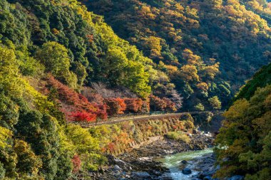 Japonya 'nın Kyoto kentindeki Hozugawa Nehri kıyısında, altın akçaağaç yapraklarından oluşan dağlarla Arashiyama Hozukyo Boğazı' nın dramatik bir sonbahar manzarası..