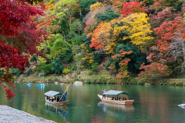 Kyoto, Japonya - 29 Kasım 2024: Turistler sonbaharda Arashiyama 'daki Oi Nehri ve Katsura Nehri üzerinde Yakatabune tekne turunun keyfini çıkarıyorlar..
