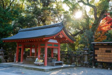 Yawata, Kyoto, Japonya - 5 Aralık 2024: Iwashimizu Hachimangu Tapınağının mimari detayları ve binaları güzel sonbahar yapraklarıyla çevrili.