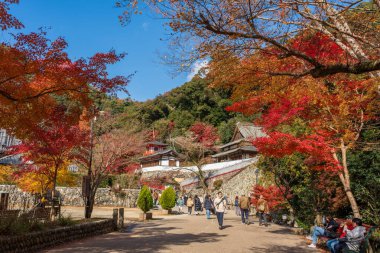 Minoh, Osaka, Japonya - 7 Aralık 2024: Minoh Park 'taki Takimichi patikası boyunca güzel sonbahar renklerinin tadını çıkaran turistler.