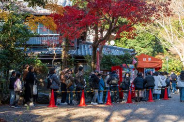 Minoh, Osaka, Japonya - 7 Aralık 2024: Momiji Tempura, kızartılmış akçaağaç yapraklarının yerel bir spesiyali. Turistler kızartılmış akçaağaç yaprağı aperatifleri için 'Momiji Tempura Koyo' almak için sıraya giriyorlar..