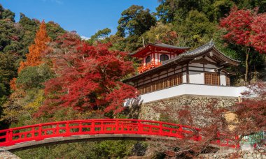 Ryuanji Tapınağı 'nın Phoenix Salonu (Hououkaku) Minoh Park' ta parlak kırmızı ve sarı sonbahar yapraklarıyla çevrilidir. Minoh, Osaka, Japonya.