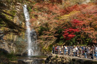 Minoh, Osaka, Japonya - 7 Aralık 2024: Kırmızı bir köprüde turist kalabalığı ve Minoh Şelaleleri 'nin en yoğun sonbahar yeşillik mevsiminde hayranlık duyulan platformu.