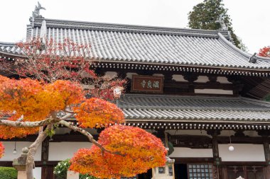 Hyogo, Japonya - 11 Aralık 2024: Arima Onsen Onsen-ji Tapınağı, geleneksel mimari ve canlı sonbahar yapraklarının yer aldığı.