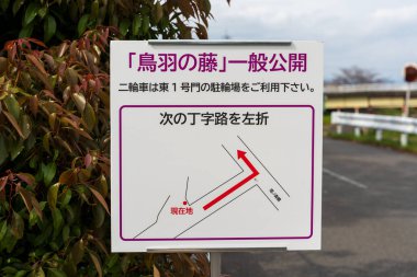 Kyoto, Japan - April 20, 2025 : Toba no Fuji, a famous wisteria flower festival held at the Toba Water Environment Conservation Center during its open day.