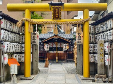 Kyoto, Japan - April 20, 2025 : Unique golden torii gate of Mikane Shrine, a popular Shinto shrine for worshipers praying for money, luck, and financial fortune.
