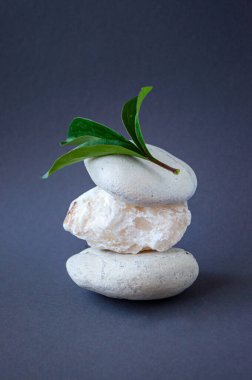 Beyaz taşlar ve koyu arkaplanda yeşil yapraklardan oluşan soyut doğa sahnesi. Kozmetik, güzellik ürünleri markalaşması için arka plan.