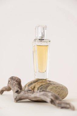 Bej rengi taşla dengelenmiş sarı parfüm şişesi ve dallı bir dal..