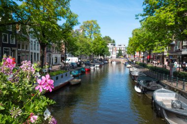 Kanallı bir Amsterdam sokağı manzarası, tipik Hollanda mimarisi, tekneleri ve çiçekleri.
