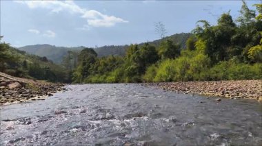 Nehir temiz ve taze, nehrin altında kayalar var. Mavi gökyüzü. Dağlar arka planda ve uzun nehir boyunca büyük yeşil ağaçlar var..