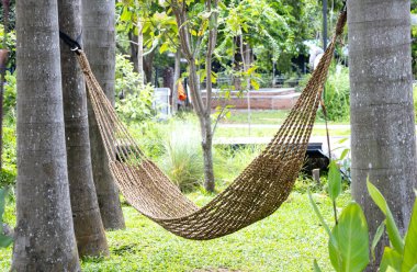 Sümbül hamağı bir ağaca asılmış.