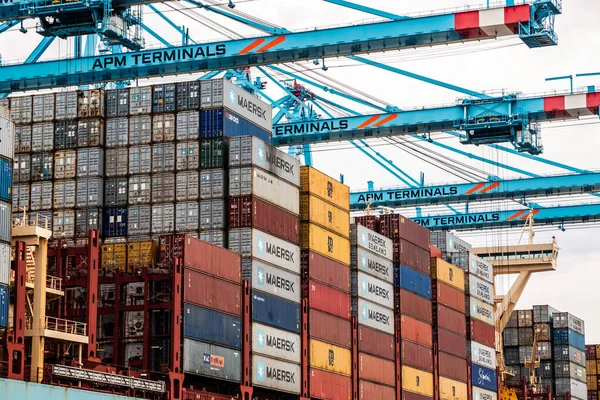 Transportcontainrar Placeras Ett Fartyg Apm Terminalen Den Nya Maasvlakte Rotterdams — Stockfoto