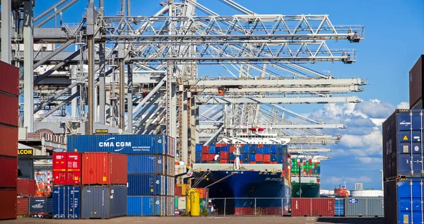 Scheepvaart Containers Schepen Afgemeerd Naast Portaalkranen Rotterdamse Haven Nederland September — Stockfoto