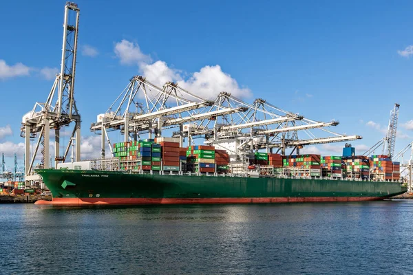 Nave Portacontainer Caricata Gru Portale Nel Maasvlakte Nel Porto Rotterdam — Foto Stock