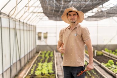 Kafkasyalı çiftçiler mutlu ve mutlu bir şekilde hidroponik sebze çiftliğinde çalışıyorlar. Küçük işletme, sahip işletmesi