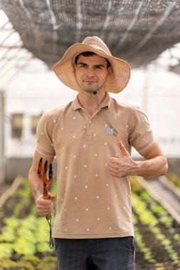 Kafkasyalı çiftçiler mutlu ve mutlu bir şekilde hidroponik sebze çiftliğinde çalışıyorlar. Küçük işletme, sahip işletmesi