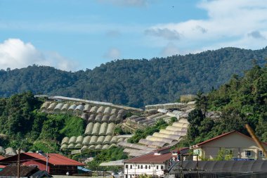 Landscape view of mountain with greenhouse roof under a sunny day. Greenhouses in farmland. Agricultural fields in the Cameron Highland, Malaysia
