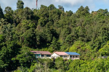 House in the rainforest. Wooden cottage in the middle of forest background. Asian chinese style house surrounded by trees on the mountain