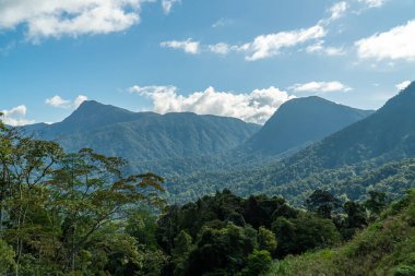 Sunny afternoon. wonderful summer landscape in mountain. Rural scenery. Forest valley view. Blue Ridge Mountains. Blue sky with clouds over layers of green meadow hills and mountain range