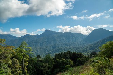 Sunny afternoon. wonderful summer landscape in mountain. Rural scenery. Forest valley view. Blue Ridge Mountains. Blue sky with clouds over layers of green meadow hills and mountain range