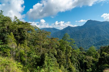 Sunny afternoon. wonderful summer landscape in mountain. Rural scenery. Forest valley view. Blue Ridge Mountains. Blue sky with clouds over layers of green meadow hills and mountain range