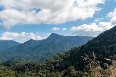 Sunny afternoon. wonderful summer landscape in mountain. Rural scenery. Forest valley view. Blue Ridge Mountains. Blue sky with clouds over layers of green meadow hills and mountain range