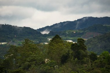 Fırtınadan sonra yemyeşil bir yağmur ormanının üzerinde sarkan sis, bulut ve sisin havadan görünüşü. Sis ile dağlık ağaçlar. Yağmur ormanlarındaki gölgelikte sabah sisi