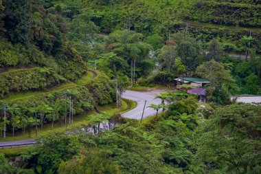Güzel dağ kıvrımlı yollar, yeşil yapraklı ağaçlar. Ormanda boş asfalt yolu olan bir manzara. Tepenin dolambaçlı yolu. Açık havada seyahat