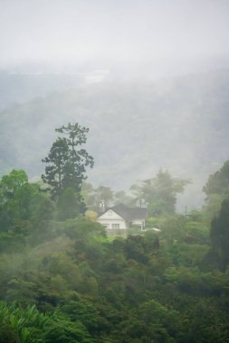 Bereketli bir tropikal yağmur ormanının üzerinde sarkan sis, bulut ve sisin havadan görünüşü. Dağ sırasındaki ev sisli. Yağmur ormanlarındaki gölgelikte sabah sisi