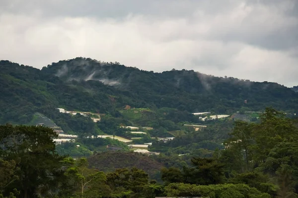 嵐の後に緑豊かな熱帯雨林の上にぶら下がって霧 霧の空中ビュー 温室や霧と山の範囲のプランテーション 熱帯雨林の天蓋に朝霧 — ストック写真