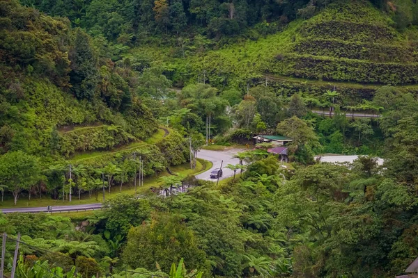 아름다운 과푸른 나무들 관통하는 아스팔트 꼬불꼬불 길에서 운전하는 — 스톡 사진