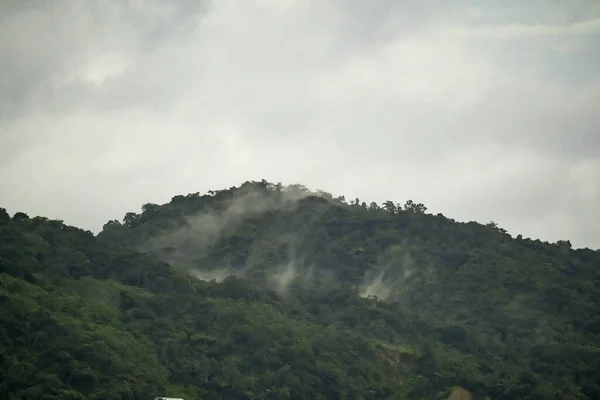 폭풍이 지나간 열대림 공중에서 보인다 지대의 습지대에는 안개가 합니다 우림의 — 스톡 사진