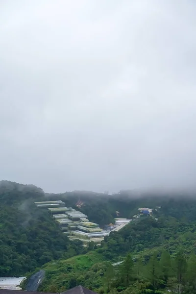 Vista Aérea Névoa Nuvem Nevoeiro Pairando Sobre Uma Exuberante Floresta — Fotografia de Stock