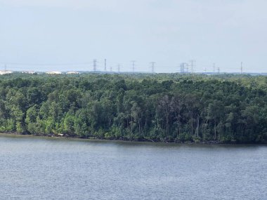 Mangrov ormanı nehri ve mavi gökyüzü ile manzara