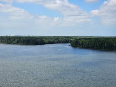 Mangrov ormanı nehri ve mavi gökyüzü ile manzara