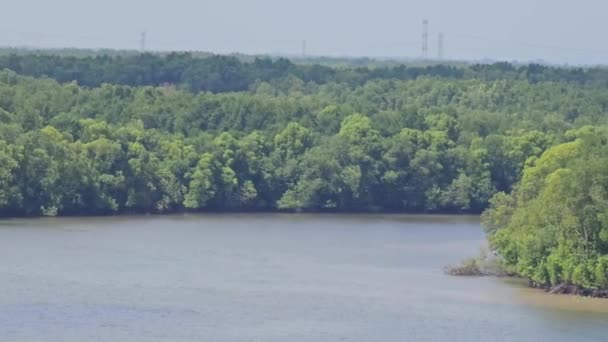 Letecký Výstřel Přes Řeku Která Protéká Mangrovovým Lesem Malajsii — Stock video