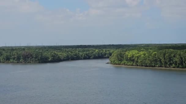 Malezya Daki Mangrov Ormanlarından Akan Bir Nehirden Geçen Hava Görüntüsü — Stok video