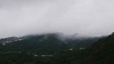 Bir köyün ve dağın üzerinde süzülen bulut. Sisli sis, ağaç ormanının üzerinde esiyor. Ormanda yağmur, duman, yağmur ormanlarında sisli hava. Zaman Uygulaması