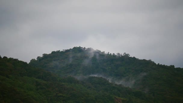 Nuvem Flutuando Sobre Uma Montanha Névoa Enevoada Soprando Sobre Floresta — Vídeo de Stock