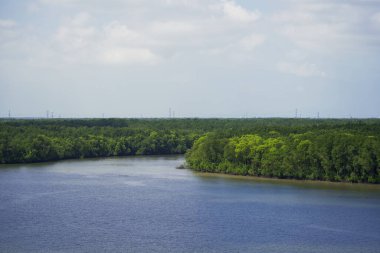Nehir ve mangrov ormanlarının havadan görünüşü. Mavi gökyüzü ve beyaz bulutlar ile nehir panarama. Malezya 'daki güzel göl manzarası