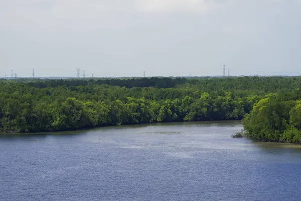 Vue Aérienne Rivière Mangrove Panarama Fluvial Avec Ciel Bleu Nuages — Photo