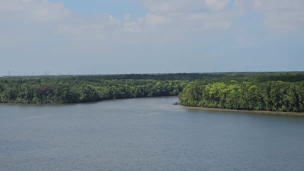 Vista Aérea Panorámica Los Bosques Ríos Manglares Panorama Fluvial Con — Vídeo de stock