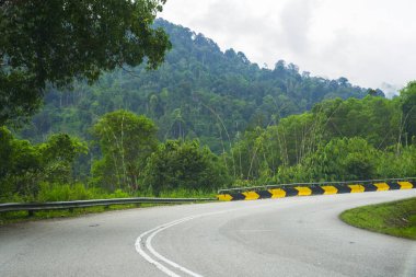 Baharda sisli ormanda yol. Güzel dağ kıvrımlı yol, sisli yeşil yapraklı ağaçlar ve bulutlu gökyüzü. Yazın ormanda boş asfalt yolu olan bir manzara. Seyahat