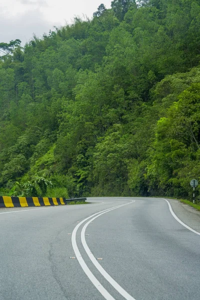 stock image Road in foggy forest in spring. Beautiful mountain curved roadway, trees with green foliage in fog and overcast sky. Landscape with empty asphalt road through woods in summer. Travel