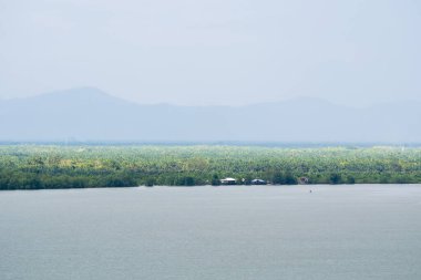 Mangrov ormanı ve nehir manzarasının sahil manzarası. Deniz manzaralı, palmiye ağacı ve balıkçı köyü. Adanın güzel doğal manzarası